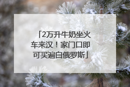 2万升牛奶坐火车来汉！家门口即可买遍白俄罗斯