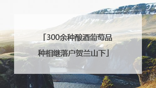 300余种酿酒葡萄品种相继落户贺兰山下