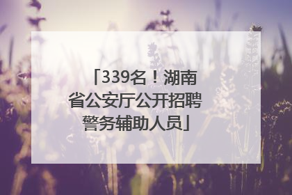 339名！湖南省公安厅公开招聘警务辅助人员