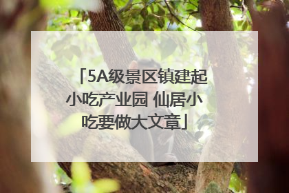 5A级景区镇建起小吃产业园 仙居小吃要做大文章