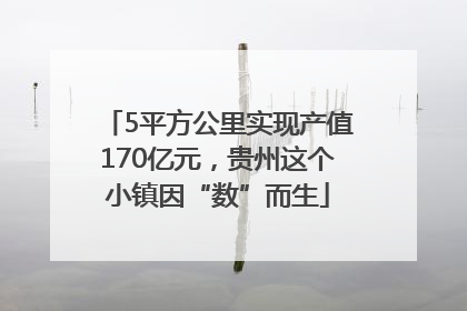 5平方公里实现产值170亿元，贵州这个小镇因“数”而生