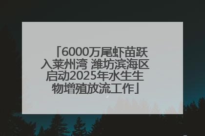 6000万尾虾苗跃入莱州湾 潍坊滨海区启动2025年水生生物增殖放流工作