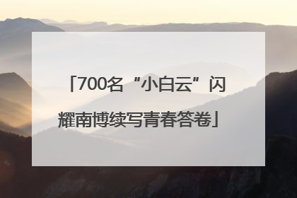 700名“小白云”闪耀南博续写青春答卷
