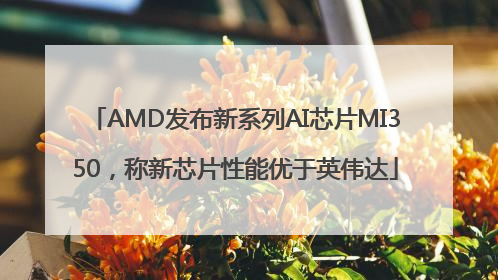 AMD发布新系列AI芯片MI350，称新芯片性能优于英伟达