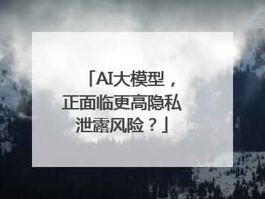 AI大模型，正面临更高隐私泄露风险？