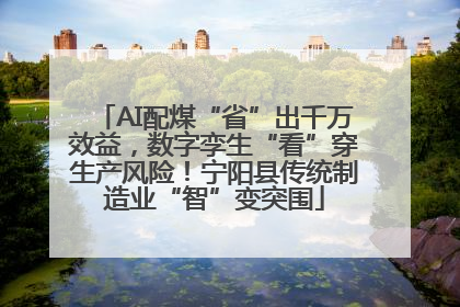 AI配煤“省”出千万效益，数字孪生“看”穿生产风险！宁阳县传统制造业“智”变突围