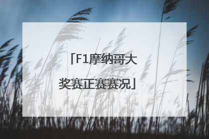 F1摩纳哥大奖赛正赛赛况