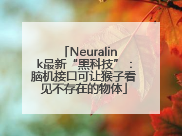 Neuralink最新“黑科技”：脑机接口可让猴子看见不存在的物体