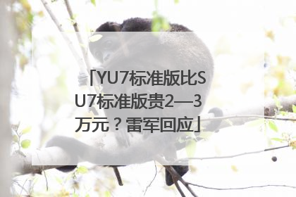 YU7标准版比SU7标准版贵2—3万元？雷军回应