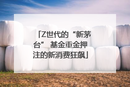 Z世代的“新茅台” 基金重金押注的新消费狂飙